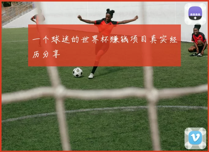 一个球迷的世界杯赚钱项目真实经历分享
