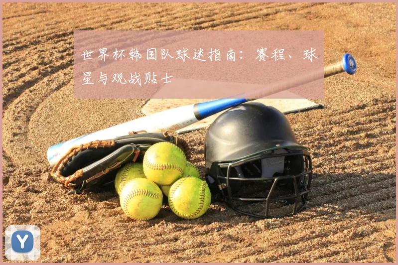 世界杯韩国队球迷指南:赛程、球星与观战贴士