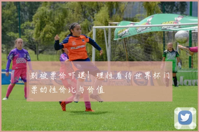 别被票价吓退!理性看待世界杯门票的性价比与价值