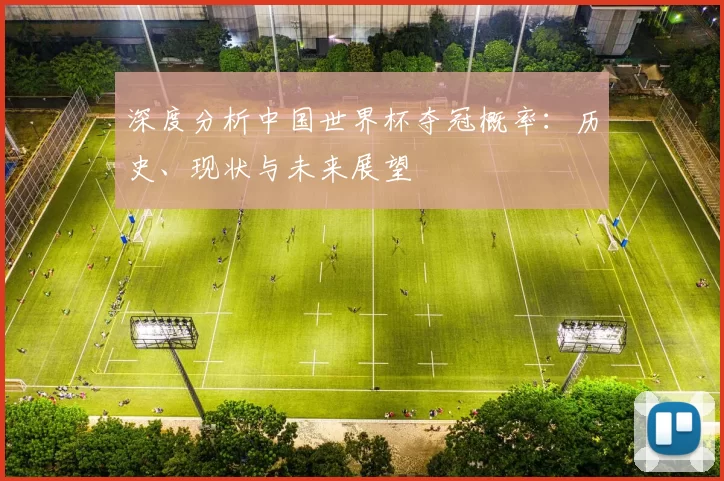 深度分析中国世界杯夺冠概率:历史、现状与未来展望